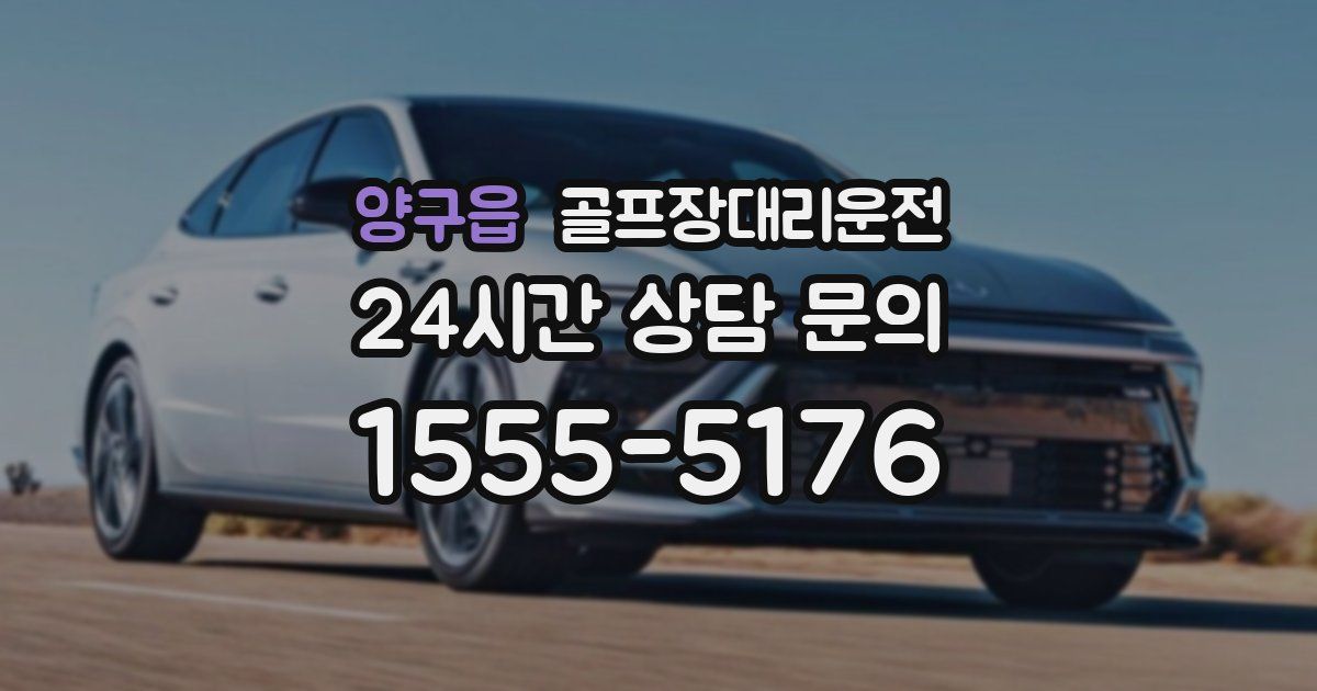 골프장대리운전 서비스