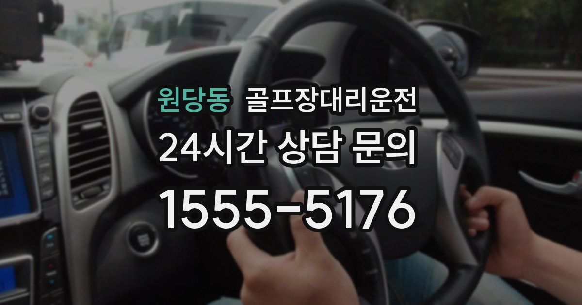 골프장대리운전 서비스