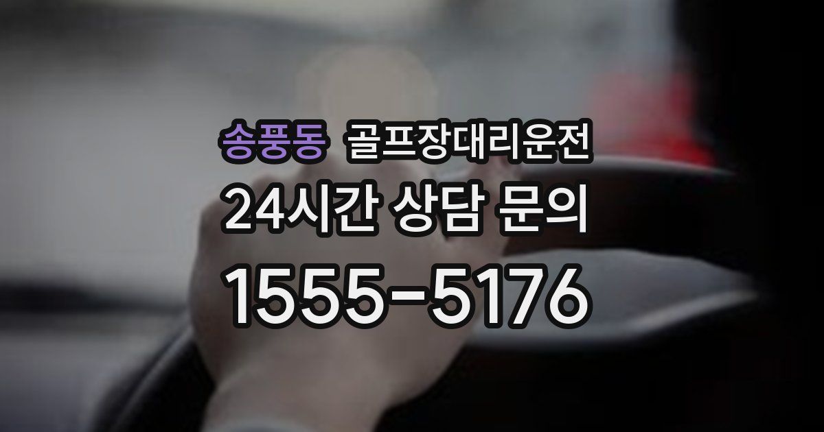 골프장대리운전 서비스