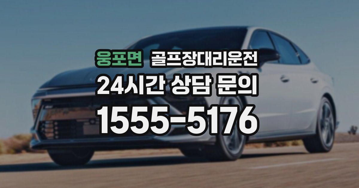 골프장대리운전 서비스