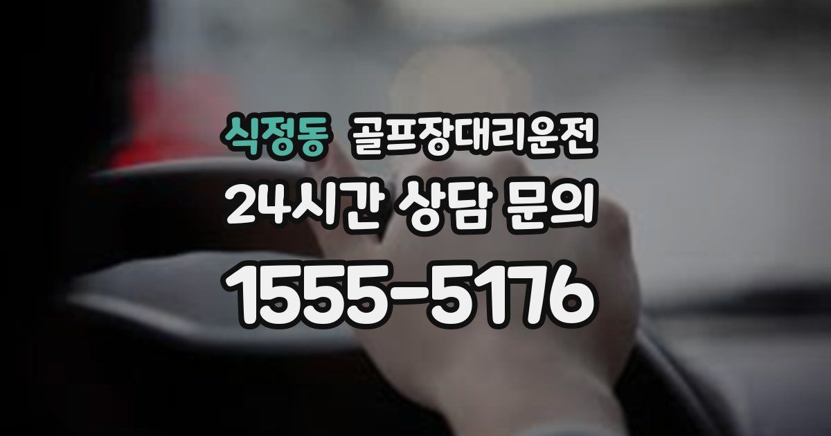 골프장대리운전 서비스