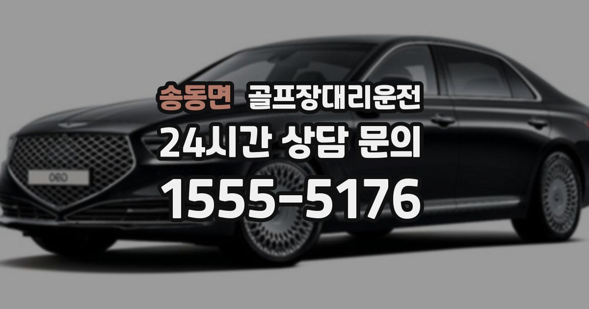 골프장대리운전 서비스