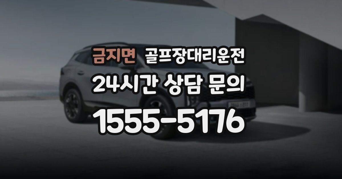 골프장대리운전 서비스
