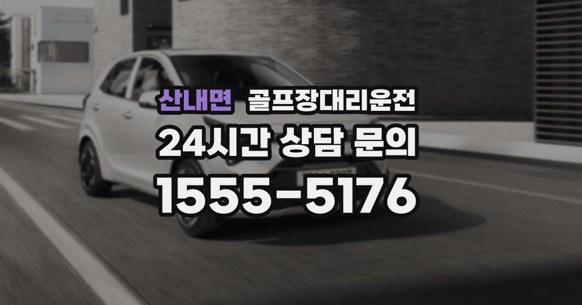 골프장대리운전 서비스