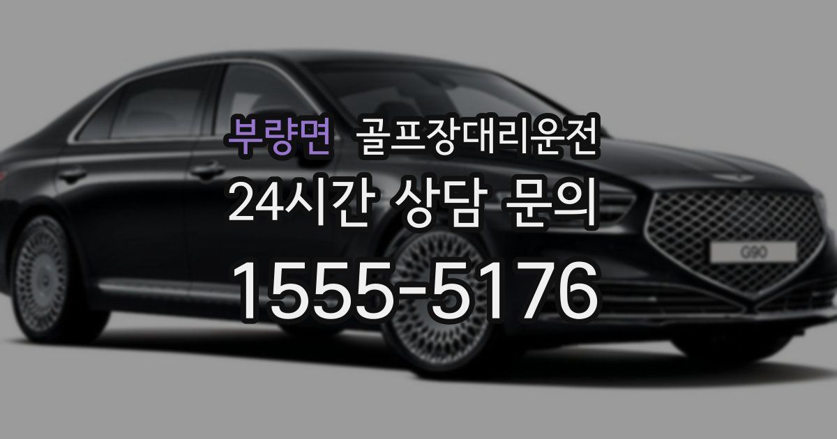 골프장대리운전 서비스