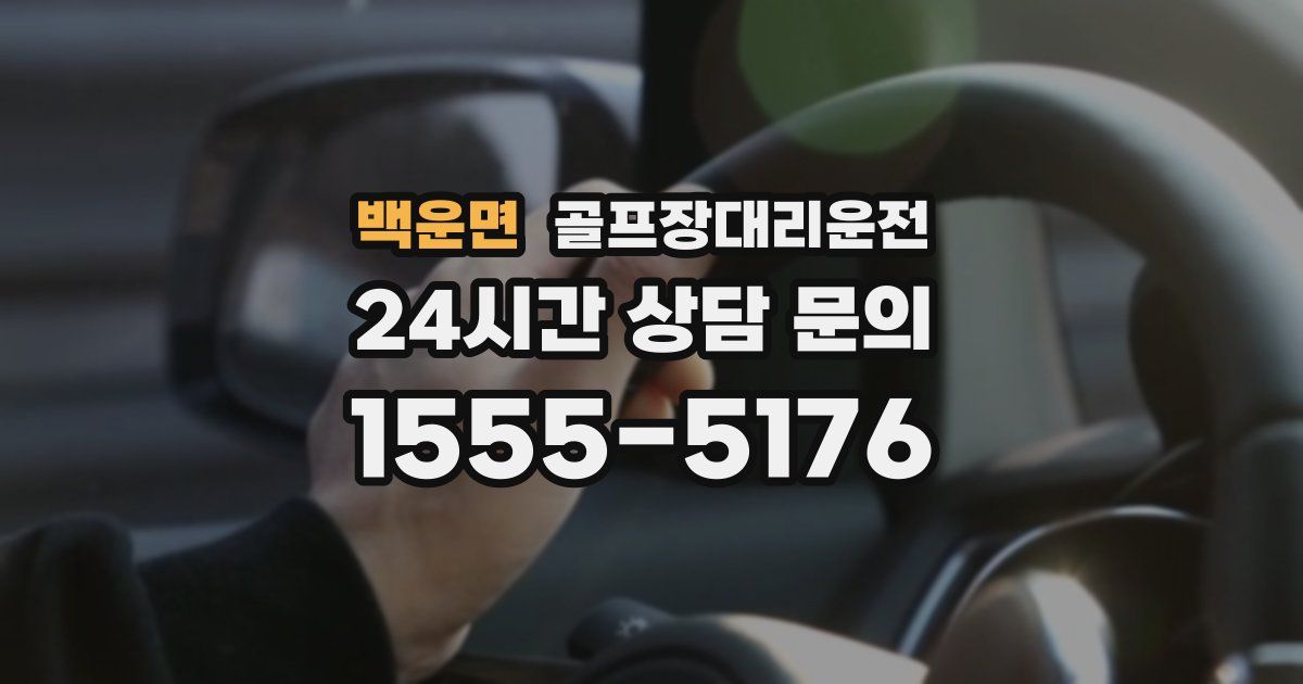 골프장대리운전 서비스