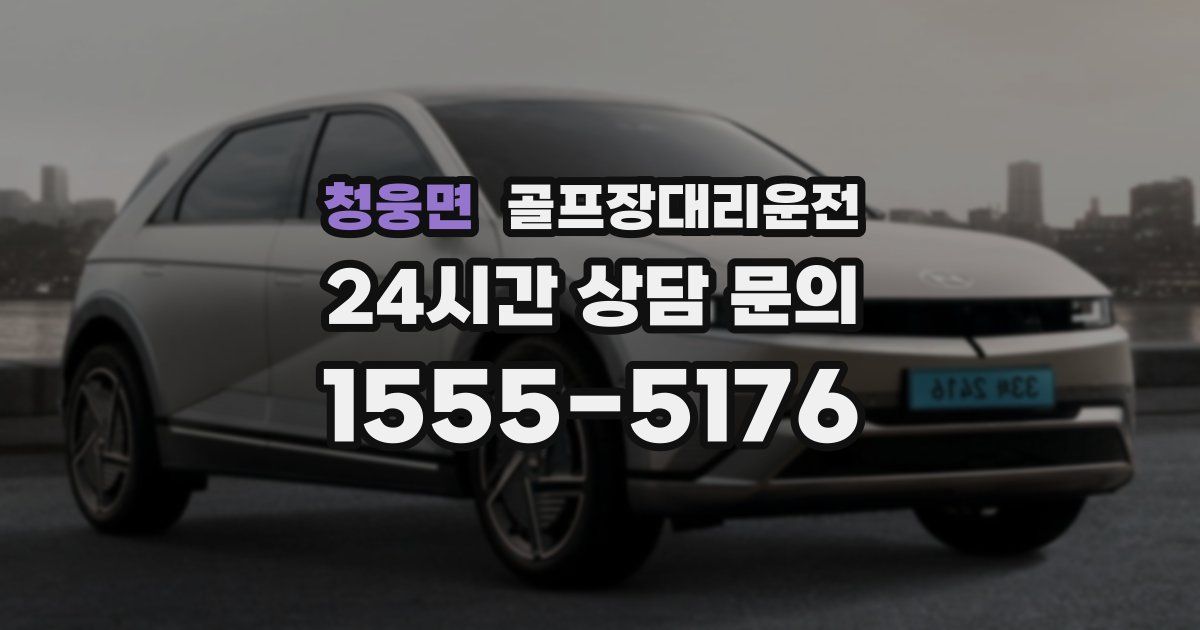 골프장대리운전 서비스