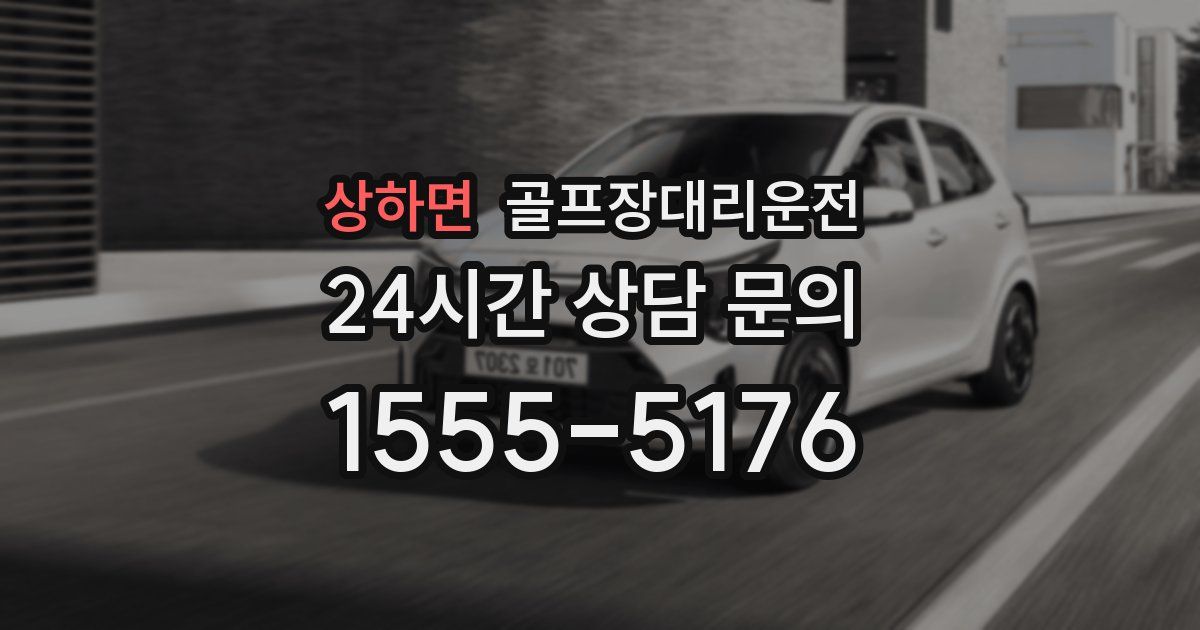 골프장대리운전 서비스