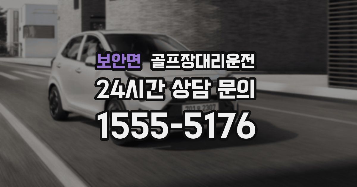 골프장대리운전 서비스