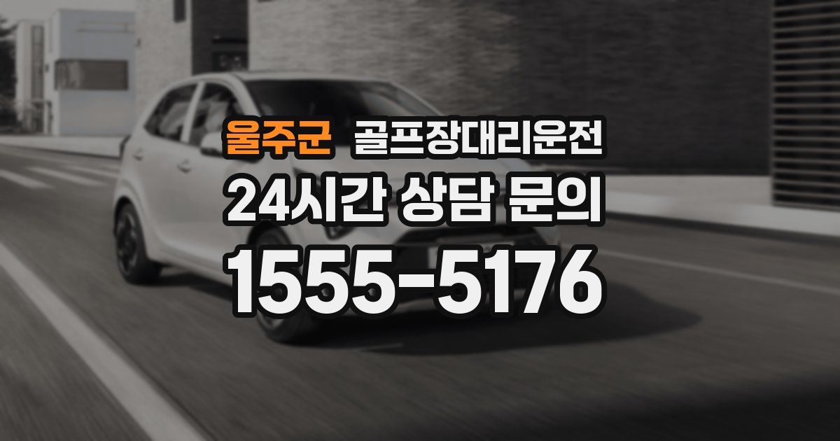 골프장대리운전 서비스