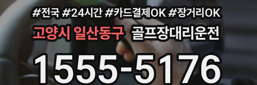 고양시 일산동구 골프장대리운전
