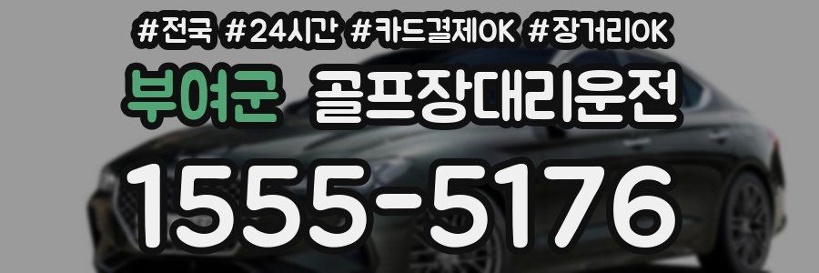 부여군 골프장대리운전