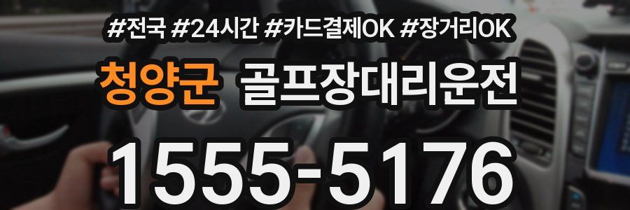 청양군 골프장대리운전