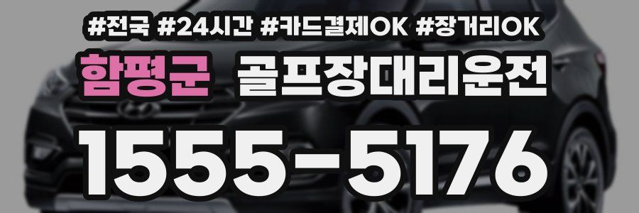 함평군 골프장대리운전