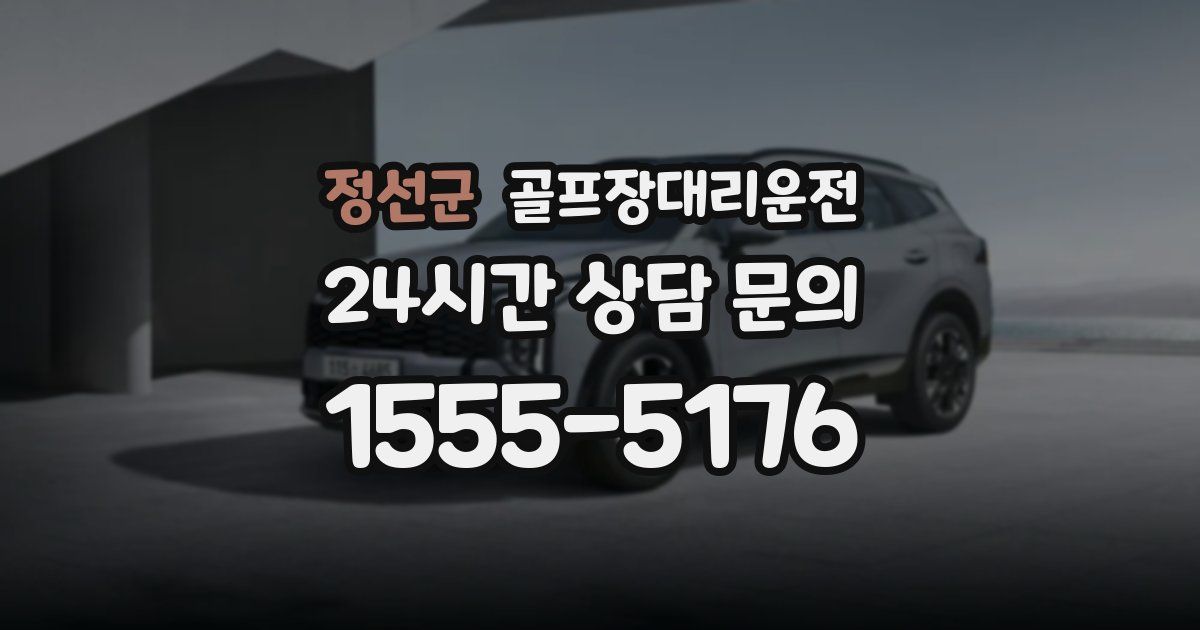 골프장대리운전 서비스
