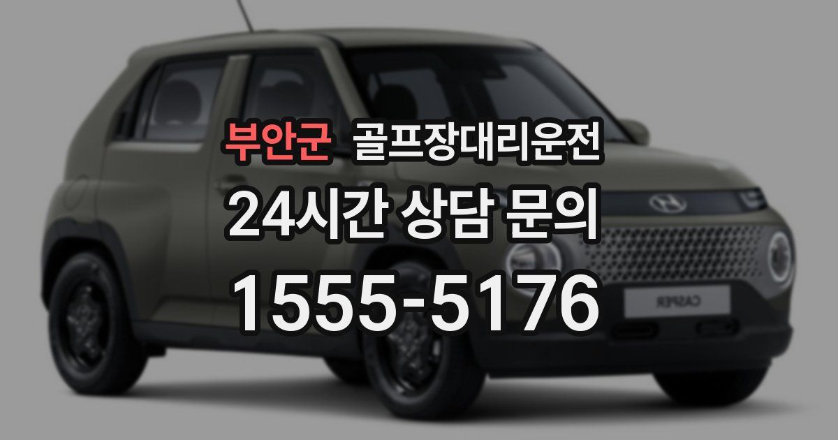 골프장대리운전 서비스