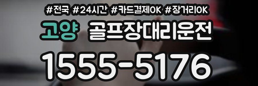 고양 골프장대리운전