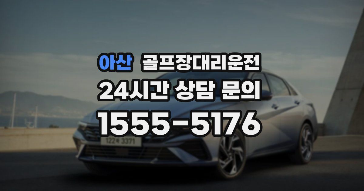 골프장대리운전 서비스