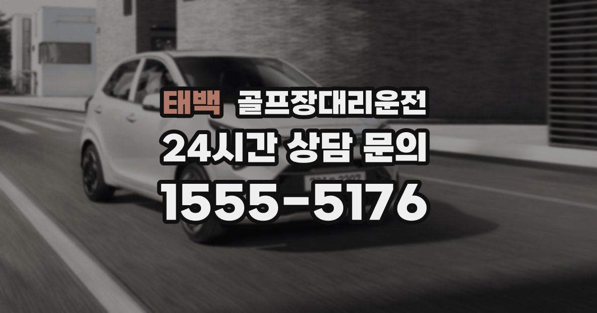 골프장대리운전 서비스