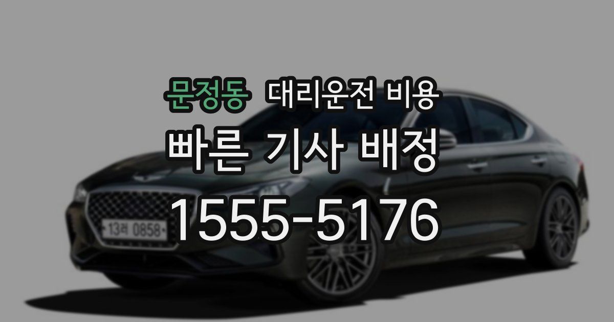 문정동 대리운전 가격