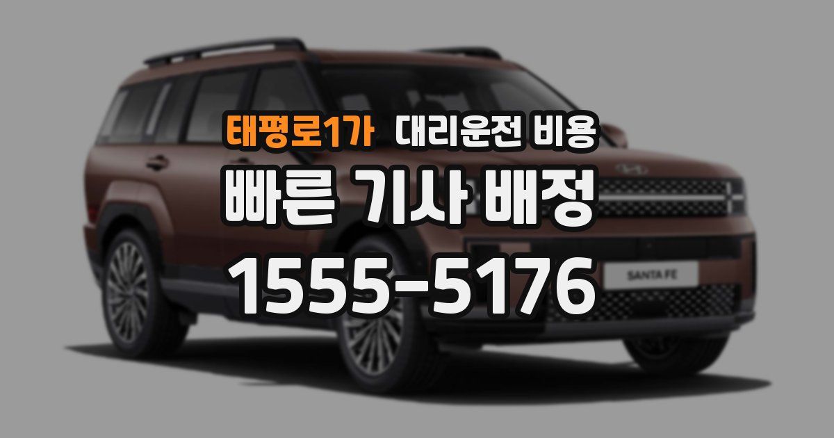 태평로1가 대리운전 가격