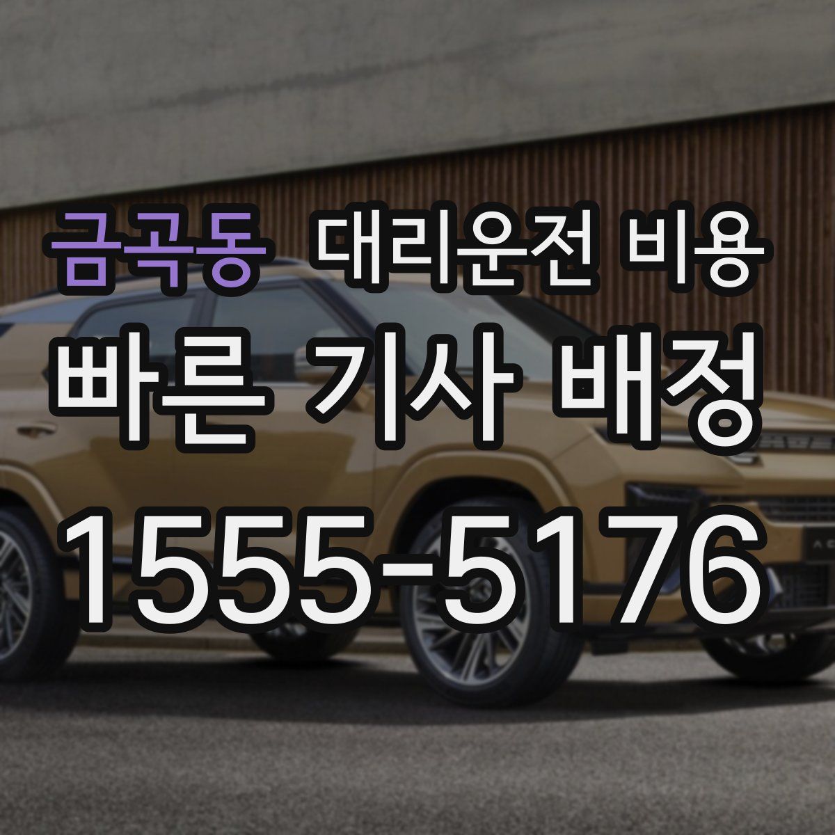 금곡동 대리운전