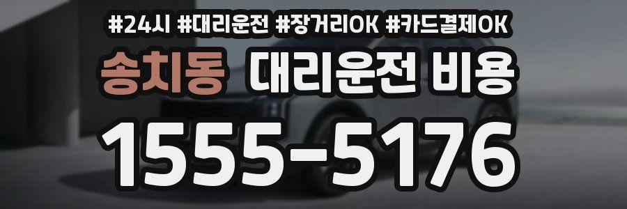 송치동 대리운전 비용