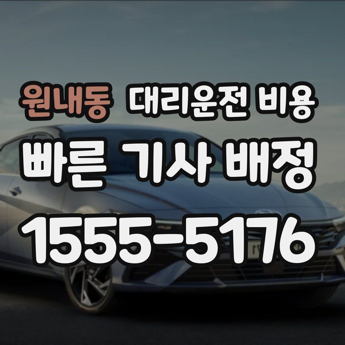 원내동 대리운전