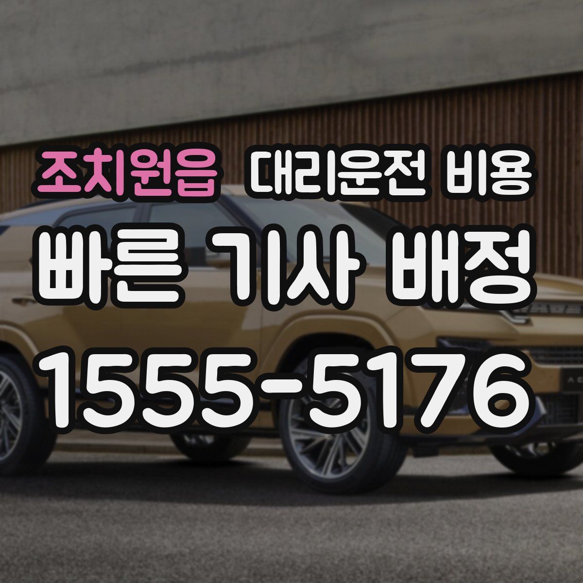 조치원읍 대리운전