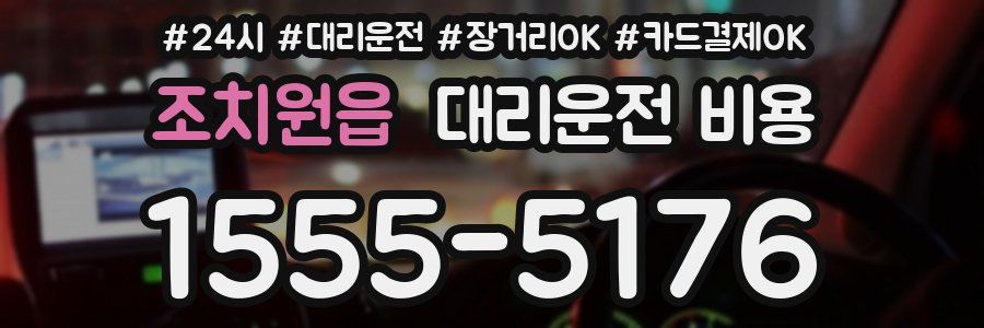 조치원읍 대리운전 비용