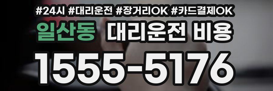 일산동 대리운전 비용