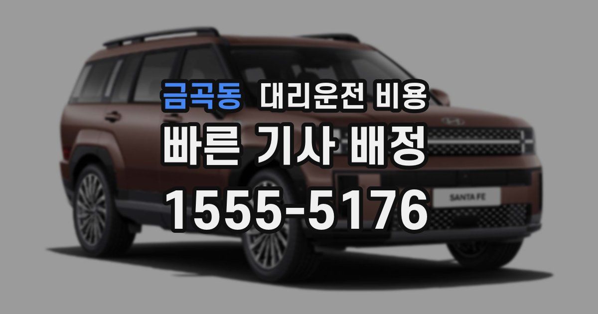 금곡동 대리운전 가격