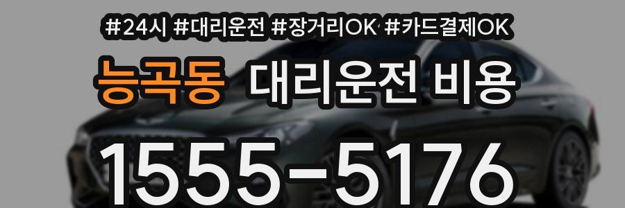 능곡동 대리운전 비용