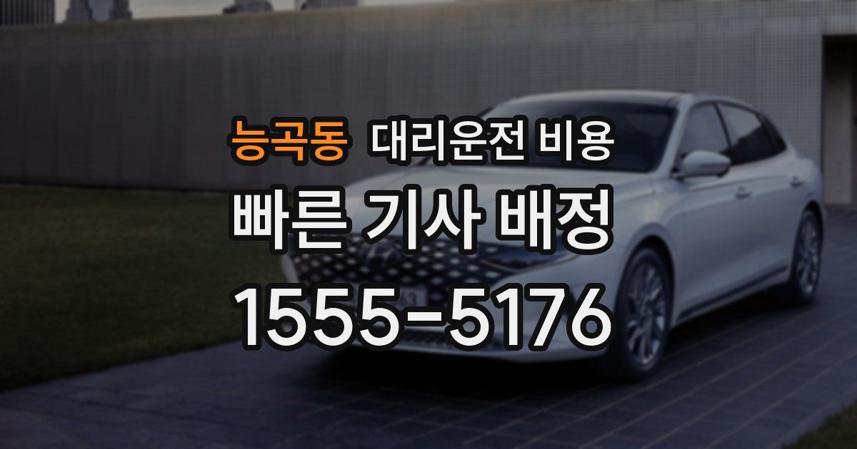 능곡동 대리운전 가격