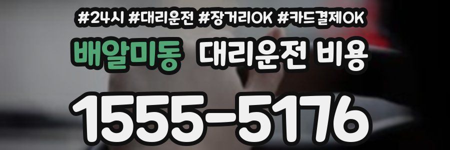 배알미동 대리운전 비용