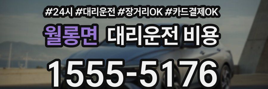 월롱면 대리운전 비용