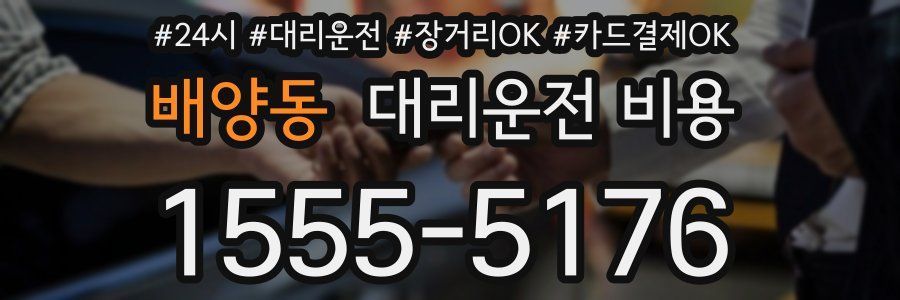 배양동 대리운전 비용