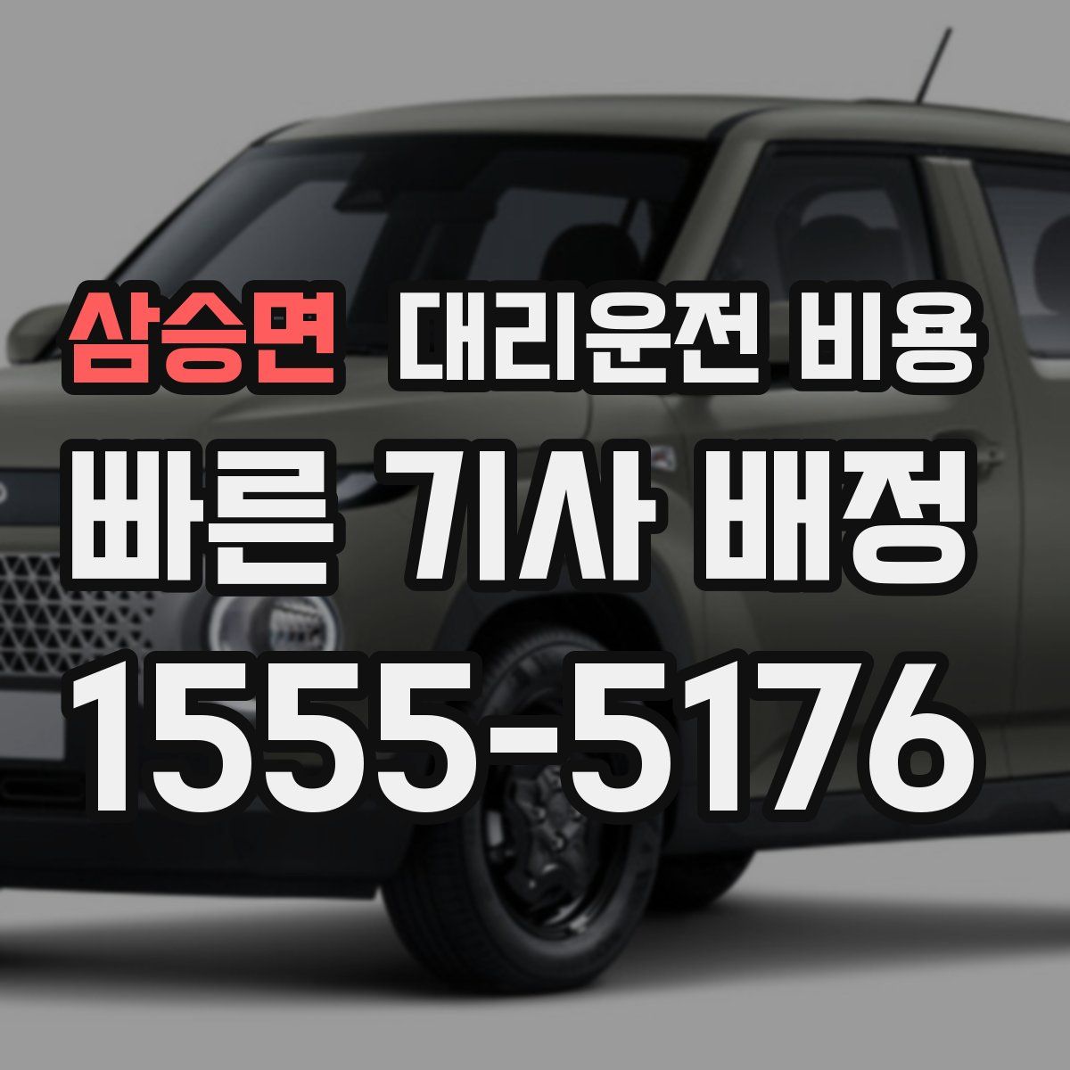 삼승면 대리운전