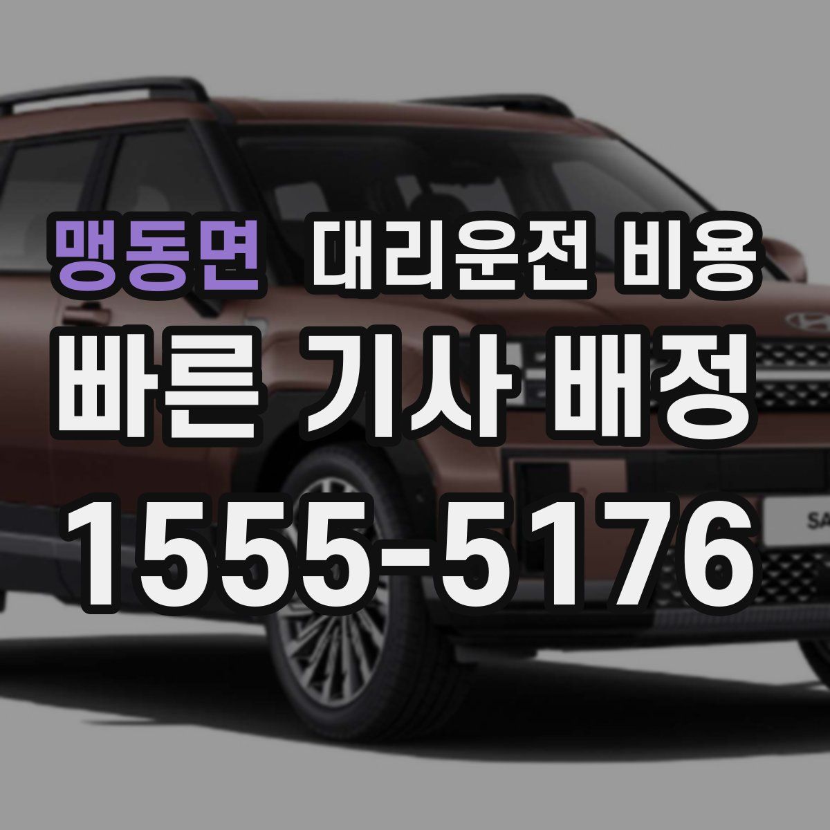 맹동면 대리운전