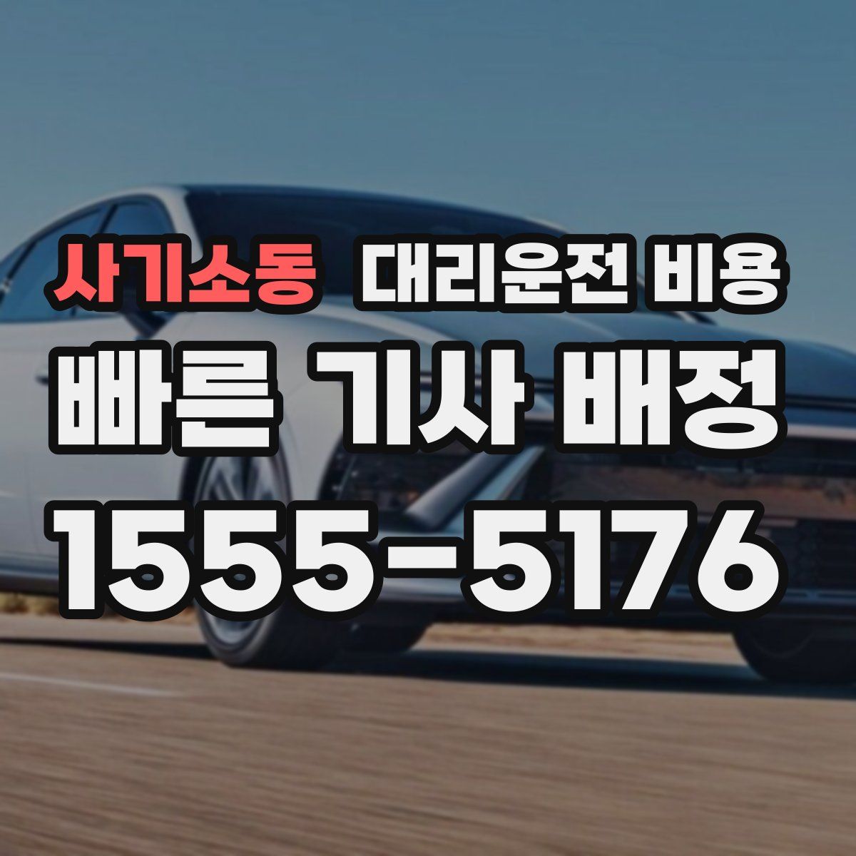 사기소동 대리운전