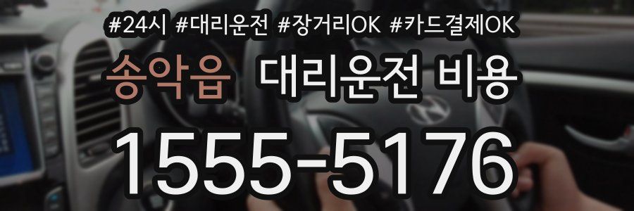 송악읍 대리운전 비용