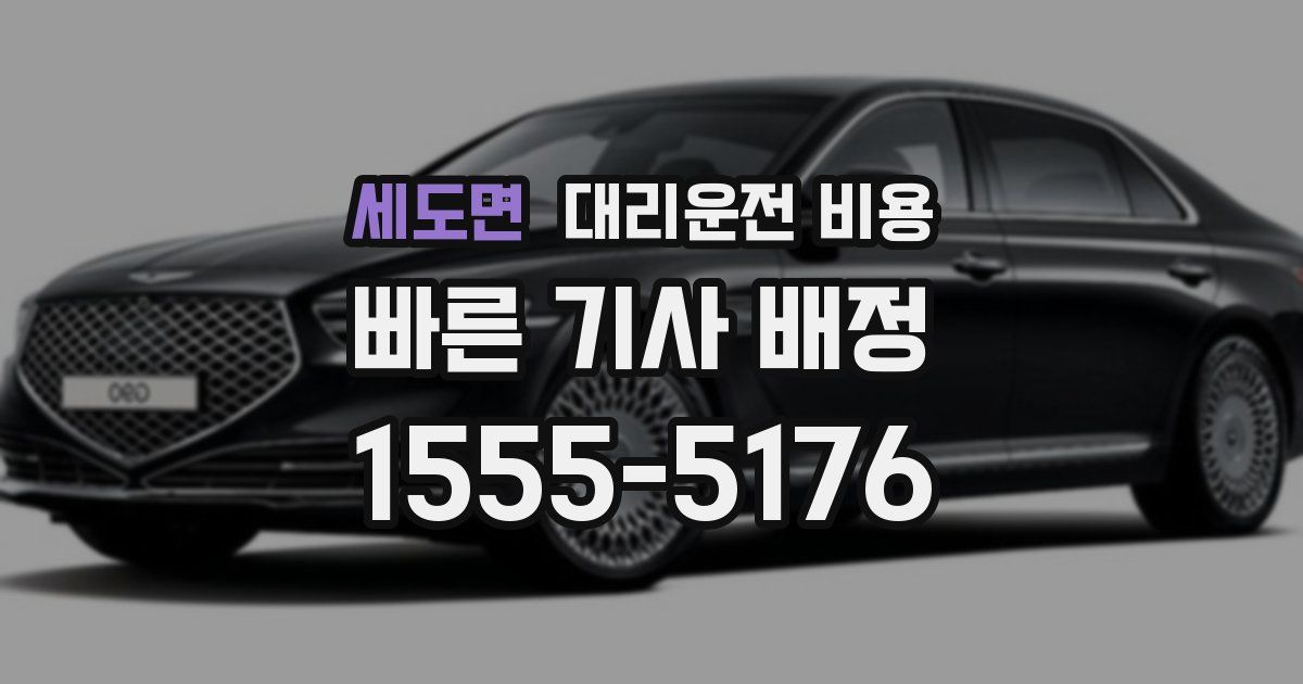 세도면 대리운전 가격