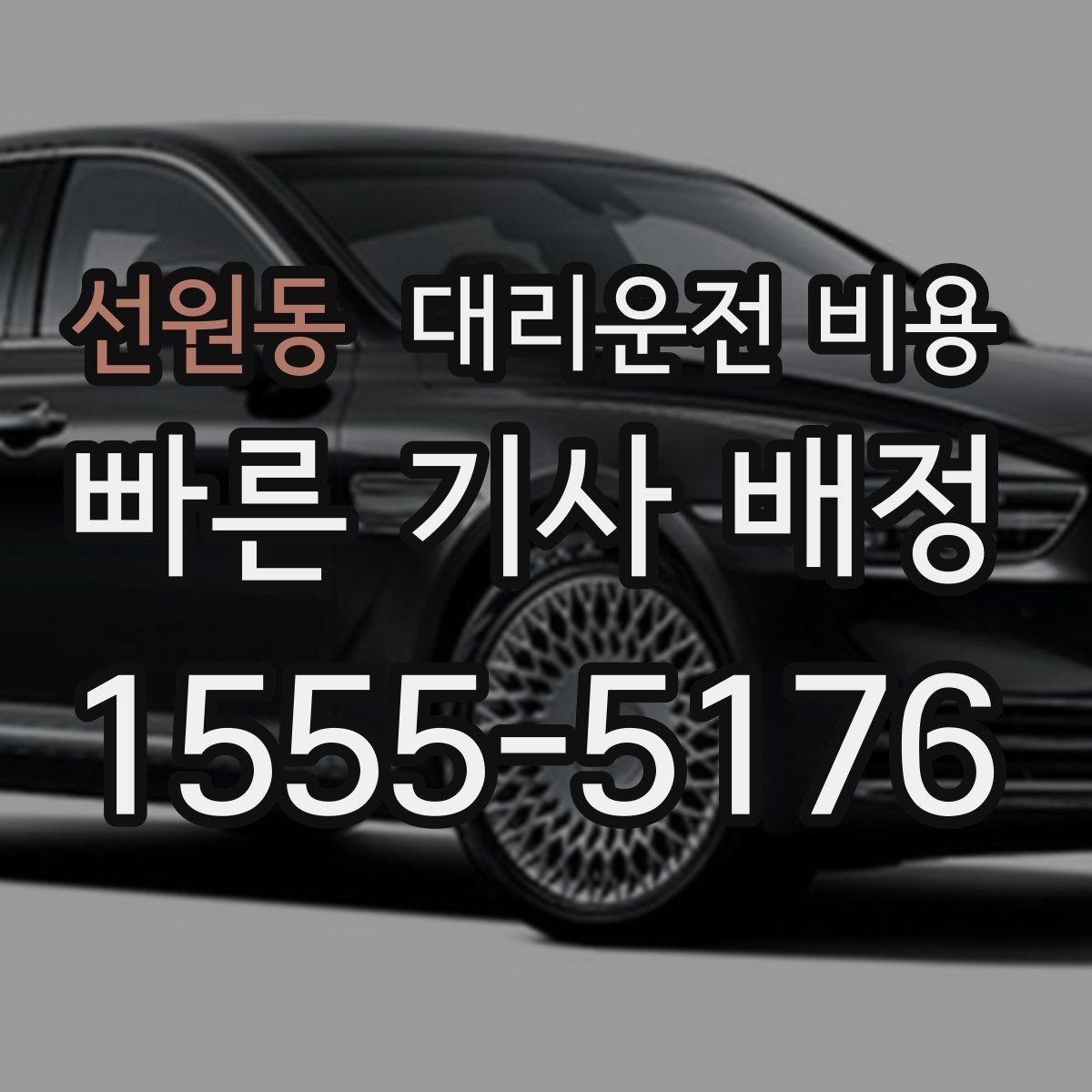 선원동 대리운전