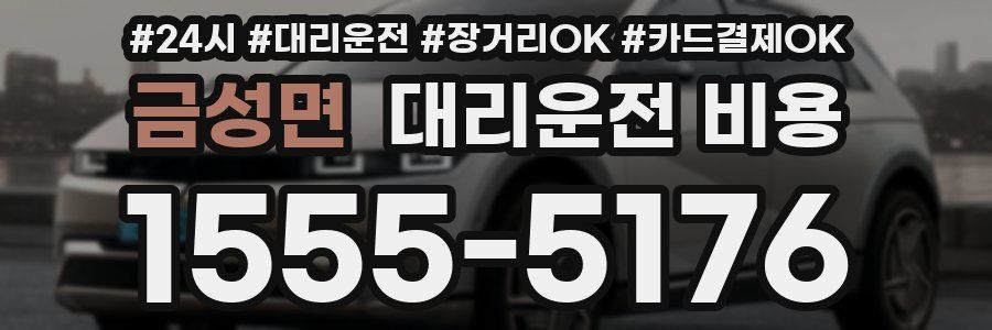 금성면 대리운전 비용