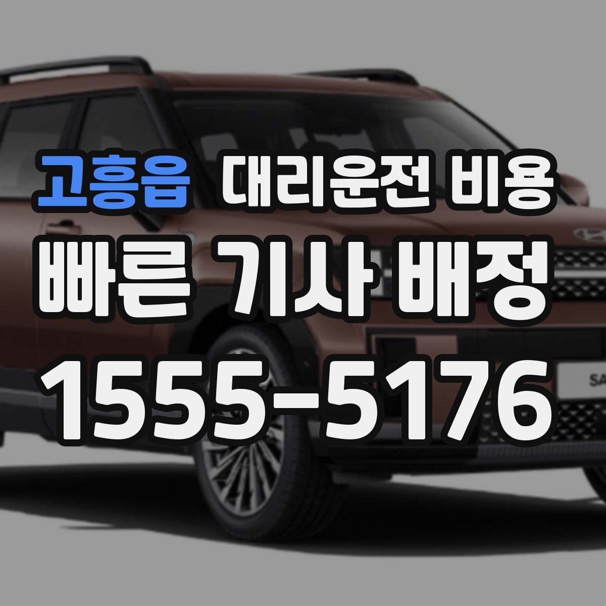 고흥읍 대리운전