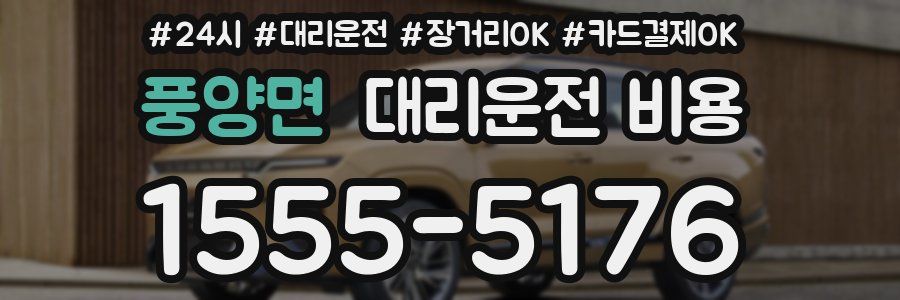 풍양면 대리운전 비용