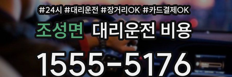조성면 대리운전 비용