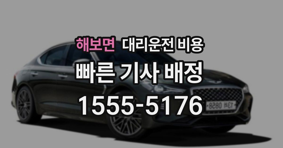 해보면 대리운전 가격