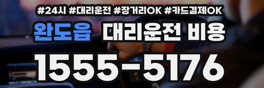 완도읍 대리운전 비용