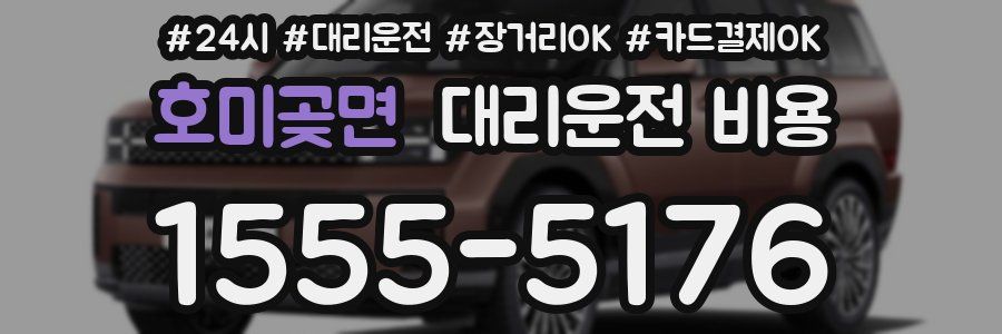 호미곶면 대리운전 비용